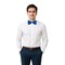 12 Pack Bulk Blue Bow Tie One Size Fits Most with Elastic Band